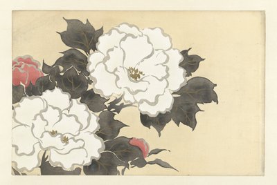 Peonies (Flowers of a Hundred Worlds / Momoyogusa, Vol. 1) by Kamisaka Sekka