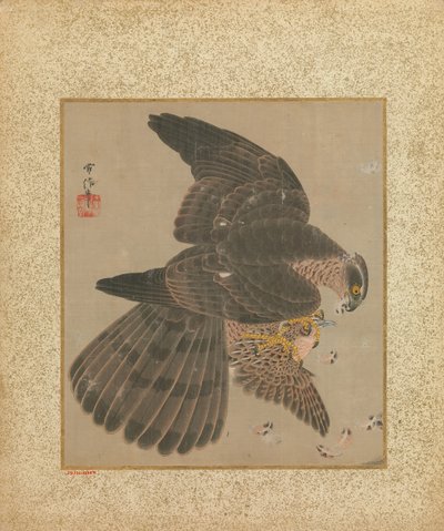 Album of Hawks and Calligraphy, 17th-18th century by Kanô Yôboku Tsunenobu