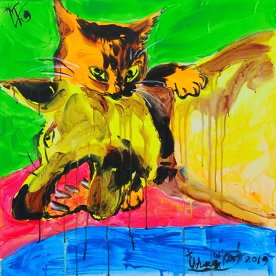 Vibrant Cat Play by Kanat Ibragimov