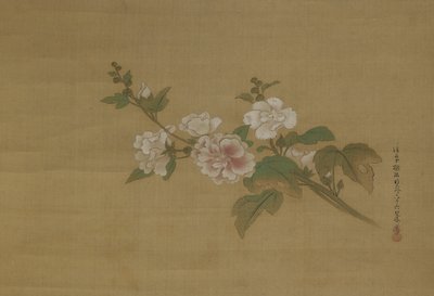 A branch of flowering hibiscus, Edo Period by Kano Tanyu