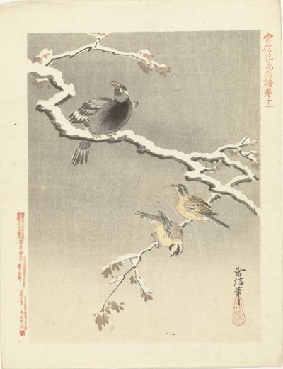 Three Birds on Snowy Branch (Flower and Bird Sketches by Kano Tsunenobu) by Kano Tsunenobu