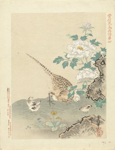 Quail with Chicks by Kano Tsunenobu