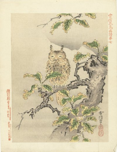 Owl on Branch by Kano Tsunenobu