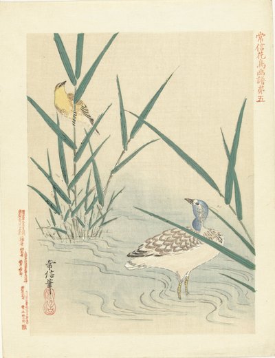 Waterfowl Looking at Yellow Songbird (series title: Flower and Bird Sketches by Kano Tsunenobu) (series title on object: Kano Tsunenobu Kacho Gafu) by Kano Tsunenobu
