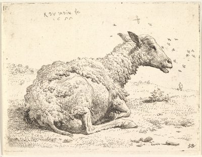 Partially Shorn Sheep Lying in the Grass with Insects Hovering Around Its Head by Karel Du Jardin