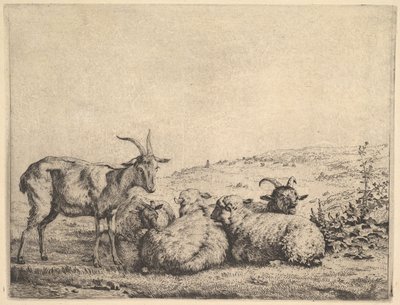 Two Goats and Three Sheep by Karel Du Jardin