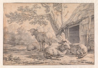 Sheep by a Barn by Karel Dujardin