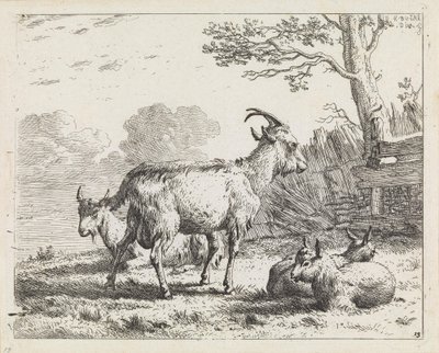 Four Goats by Karel Dujardin
