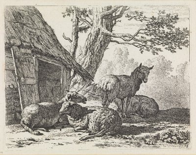 Four Sheep by Karel Dujardin
