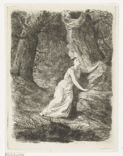 Olwene Wanders in the Forest (series title: Aeddon) by Karel Frederik Bombled