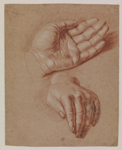 Studies of Two Hands by Karel van III Mander