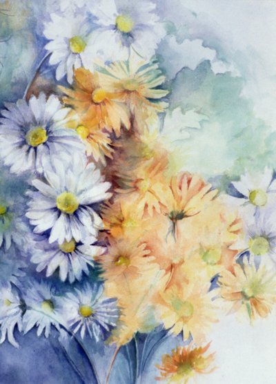 Chrysanthemum, White and Apricot by Karen Armitage