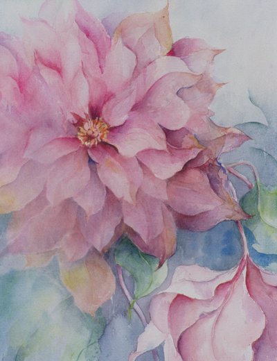 Clematis Vyvyan Penell by Karen Armitage