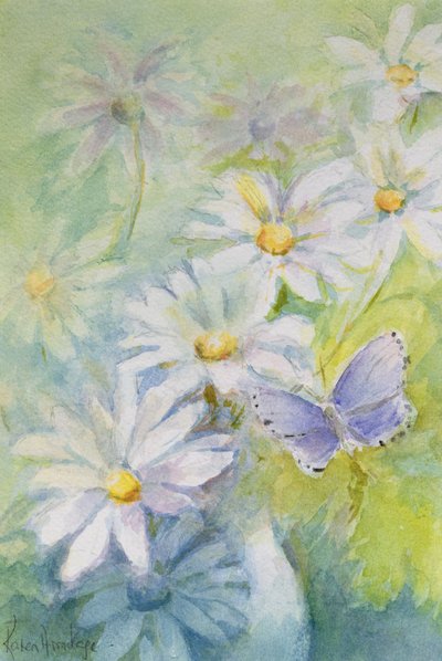 Common Blue on Daisies by Karen Armitage