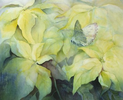 Cream Poinsettia with Butterfly by Karen Armitage
