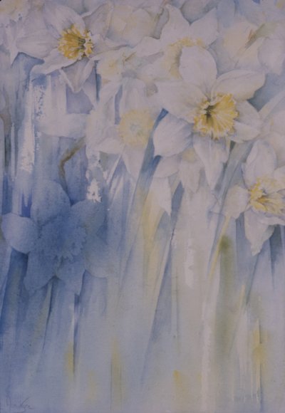 Daffodils by Karen Armitage