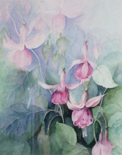 Fuschia, Pink Coachman by Karen Armitage