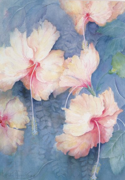 Hibiscus, Apricot by Karen Armitage