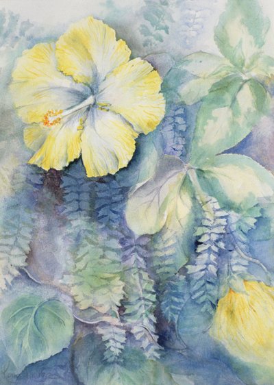 Hibiscus, Yellow by Karen Armitage