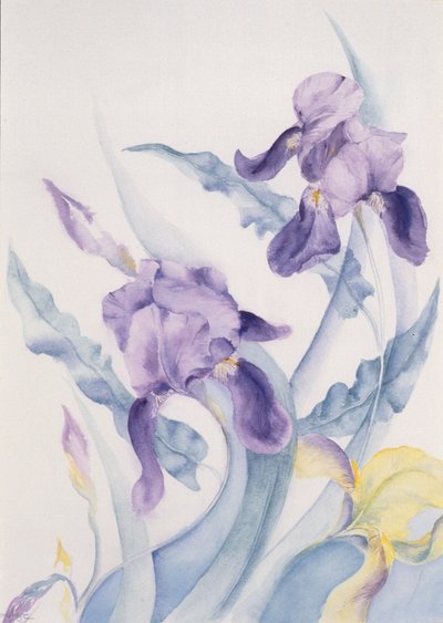 Iris, Blue Mare by Karen Armitage
