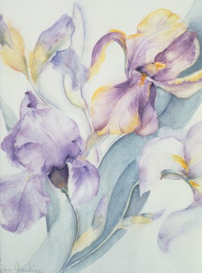 Iris Mixed, Ola Kale and Mary Todd by Karen Armitage