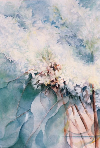 Lilac, Maud Norcut by Karen Armitage
