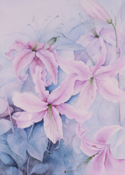 Lilies, Pink Auratum by Karen Armitage