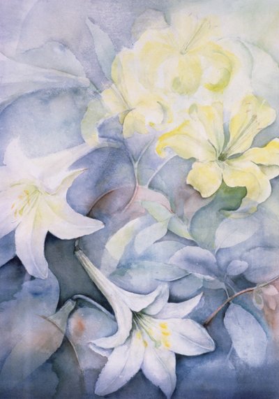 Lilium, Hearts Desire and Imperiale by Karen Armitage