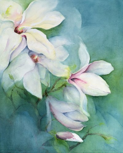 Magnolia Dedudata by Karen Armitage