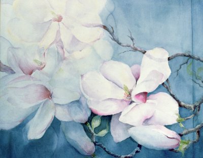 Magnolia Soulangeana (Horizontal) by Karen Armitage