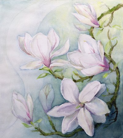 Magnolias by Karen Armitage
