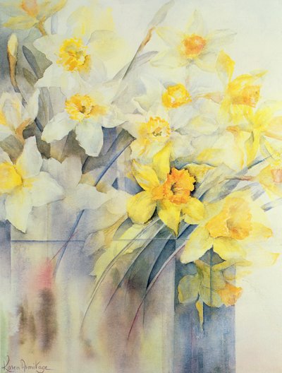 Mixed Daffodils in a Tank by Karen Armitage