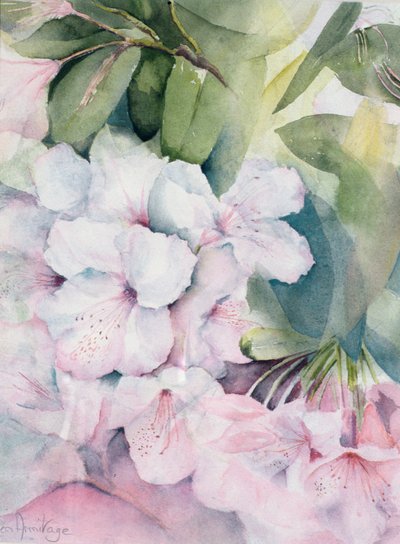 Morning Magic by Karen Armitage