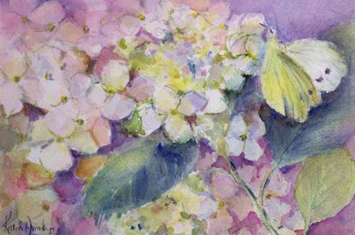 Pale Clouded Yellow Butterfly, Colias Hyale on Hydrangea by Karen Armitage