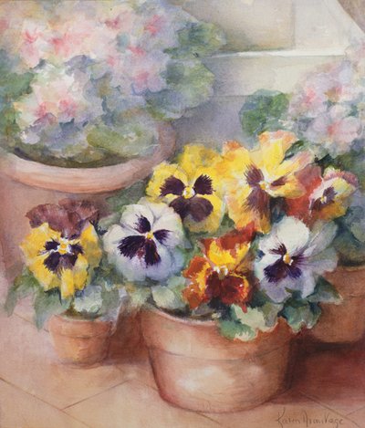 Pansies in a Conservatory by Karen Armitage