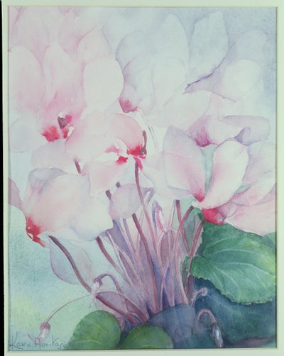 Pink Cyclamen, Victoria by Karen Armitage