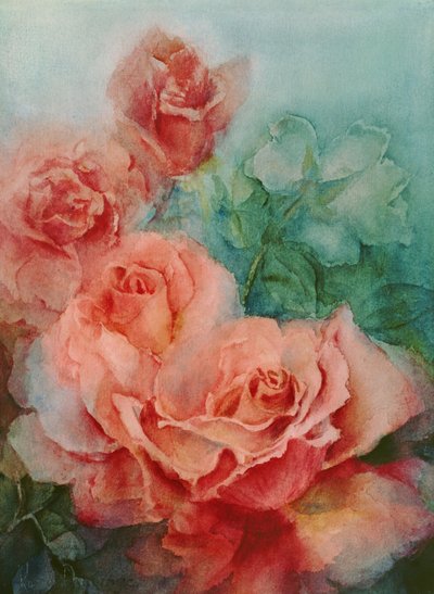 Pink Roses, Prima Ballerina by Karen Armitage