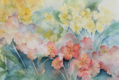 Polyanthus, Mixed Hybrids by Karen Armitage