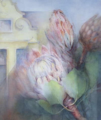 Protea at Stellenbosch by Karen Armitage