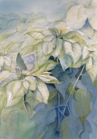 White Poinsettia (Vertical) by Karen Armitage