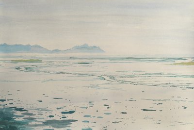 Misty Coastal Landscape by Karin Bos