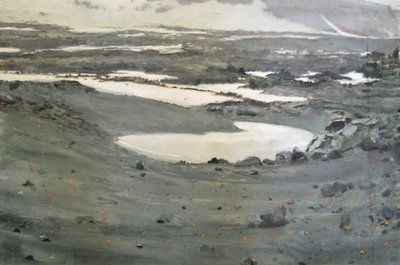 Stark Tundra Landscape by Karin Bos