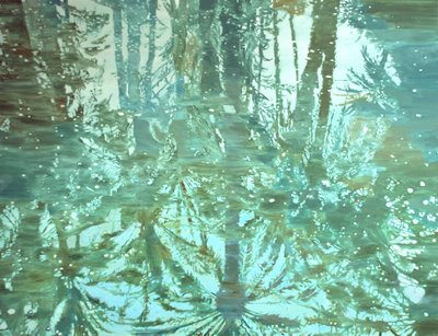 Winter Forest Reflection by Karin Bos