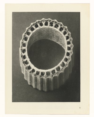 Plant Studies: Photographic Plant Images (series title) by Karl Blossfeldt