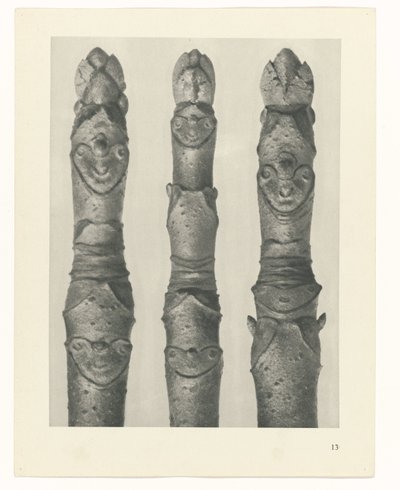 Plant Study (series title: Urformen der Kunst) by Karl Blossfeldt