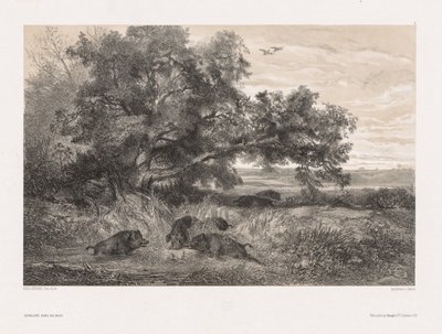 Animals and Landscape after Nature: Wild Boar in a Pond by Karl Bodmer