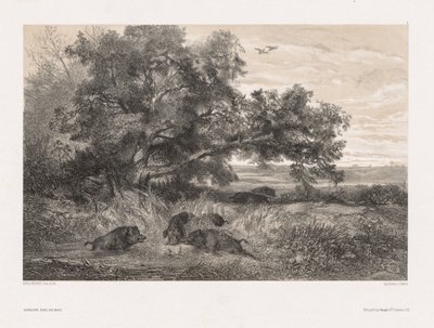 Animals and Landscape after Nature: Wild Boar in a Pond by Karl Bodmer