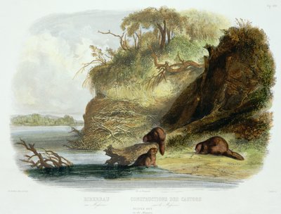 Beaver Hut on the Missouri, plate 17 from volume 1 of `Travels in the Interior of North America