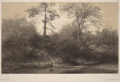 Wild Ducks by Karl Bodmer