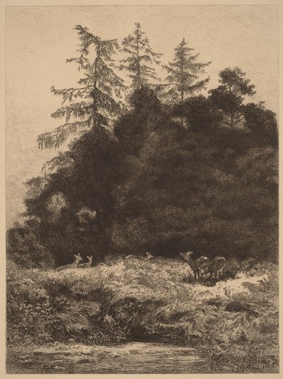 Deer in a Park by Karl Bodmer